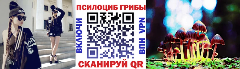 цены   Горбатов  Галлюциногенные грибы мухоморы 